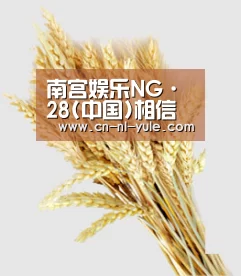 南宫娱乐NG·28(中国)相信品牌力量有限公司