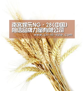 南宫娱乐NG·28(中国)相信品牌力量有限公司